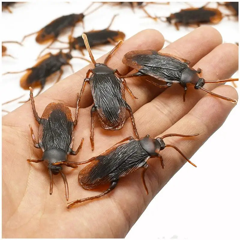 Freaky Bugs - Gag Gifts